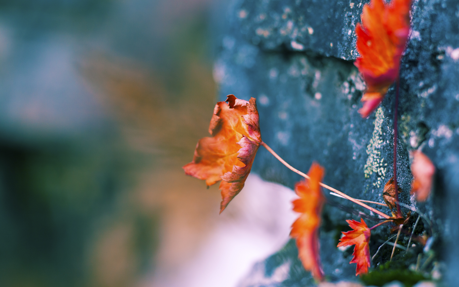 爱游戏体育-瑞典团队合作出色，夺得胜利，瑞典 组合