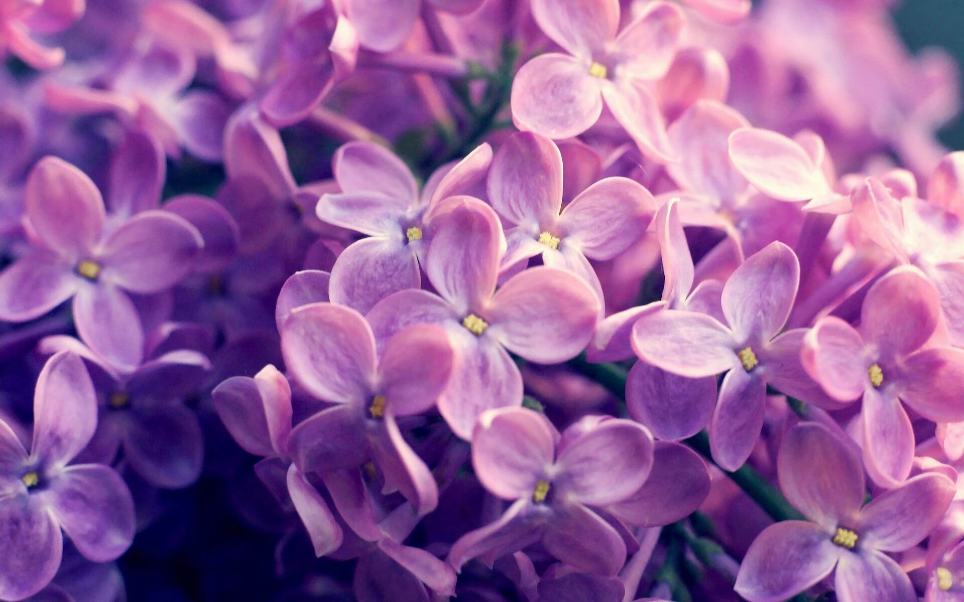 -皇家马德里主场长胜，卫冕之路无限风光，皇家马德里主场在哪个城市