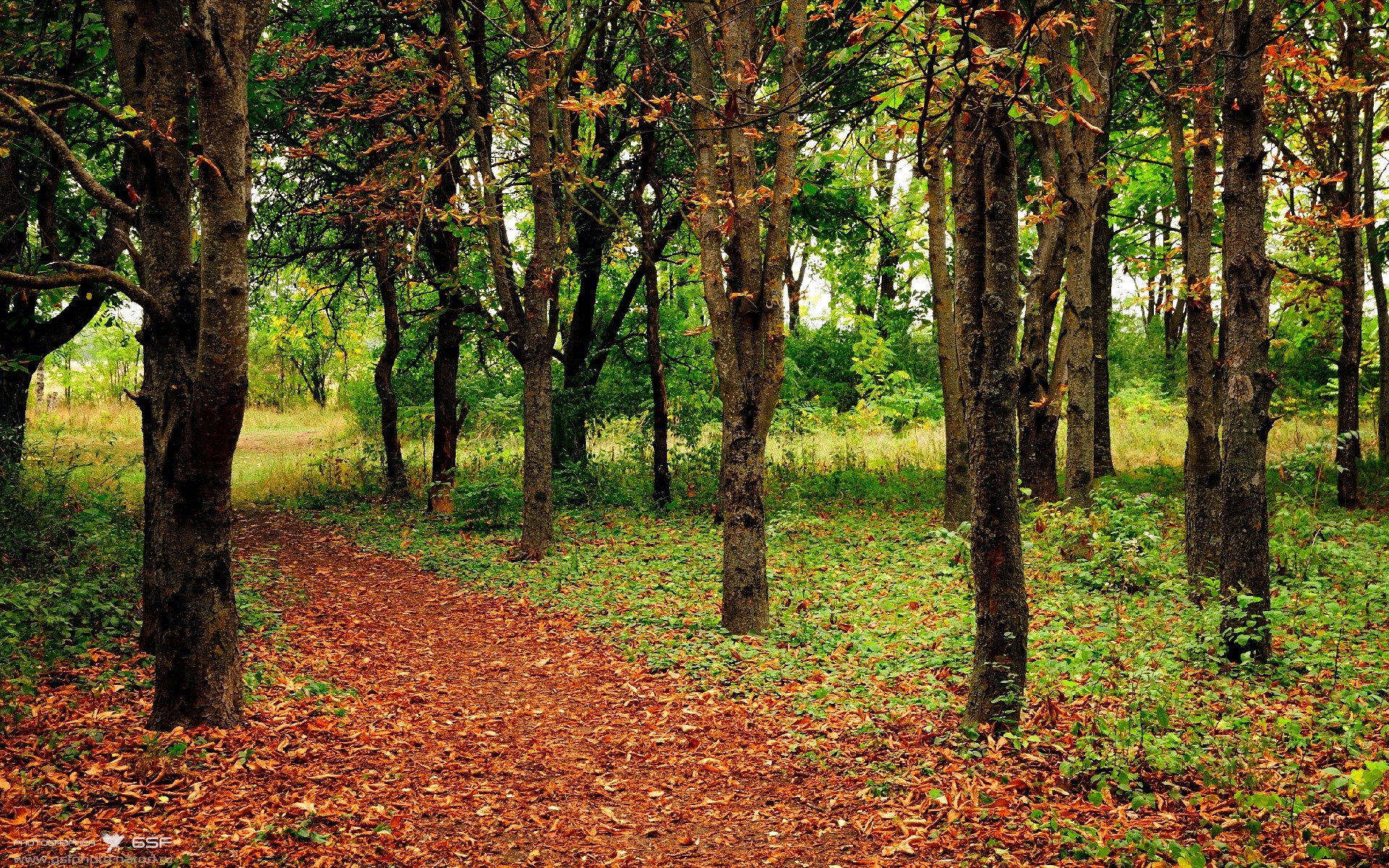 辽宁本钢防守反击效率显著提高,辽宁本钢技术犯规