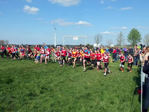 爱游戏网站-青少年体育活动参与动机分析与提升，青少年体育活动参与动机分析与提升研究