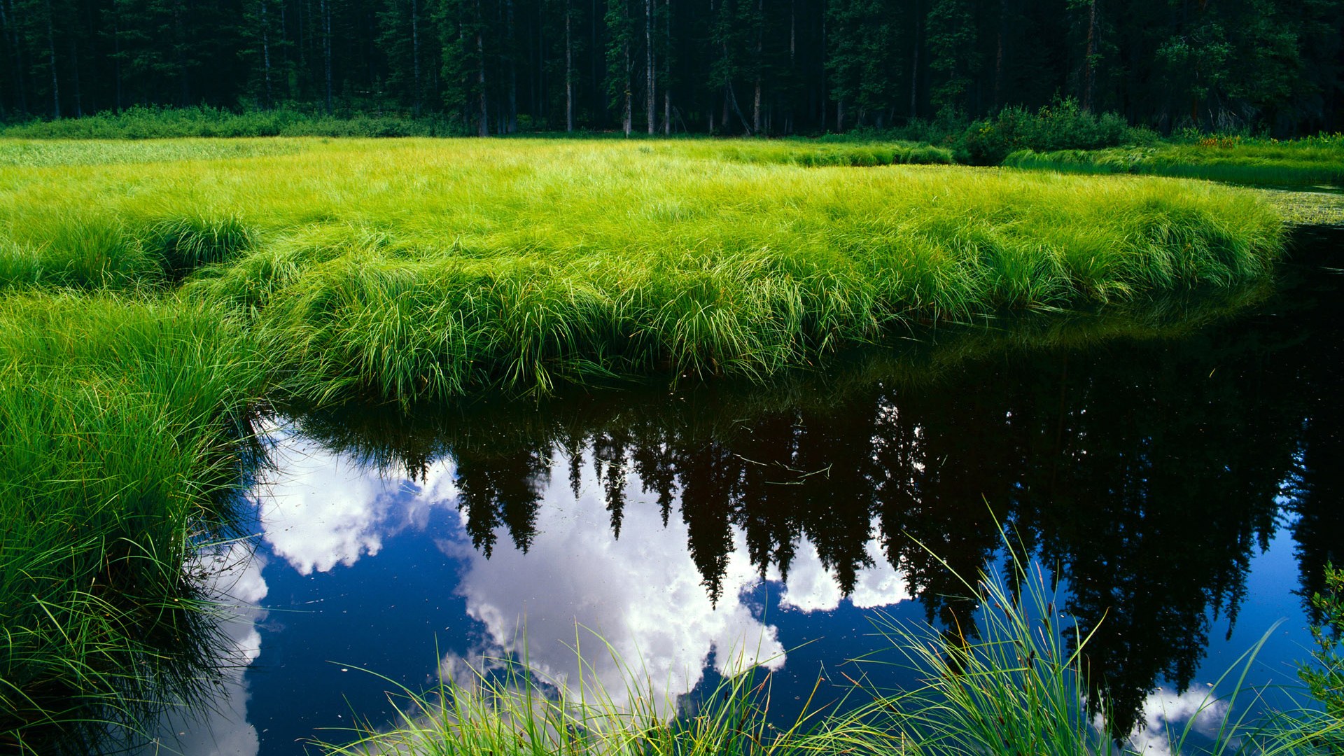 西甲明星演绎:个人能力引爆全场,西甲联赛球星