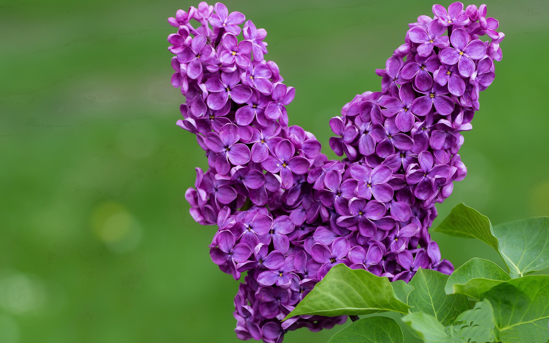 队员训练投入度高个人技术水平和战术意识同步进步，队员对待训练的态度