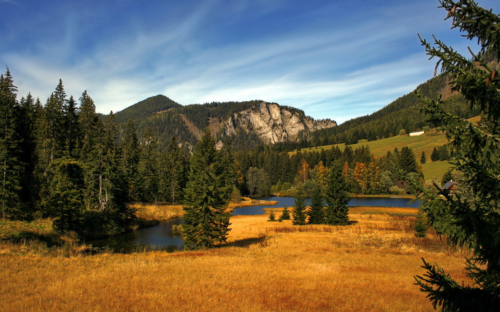 里根·史密斯稳步提升成绩赢得喝彩，史密斯雷根